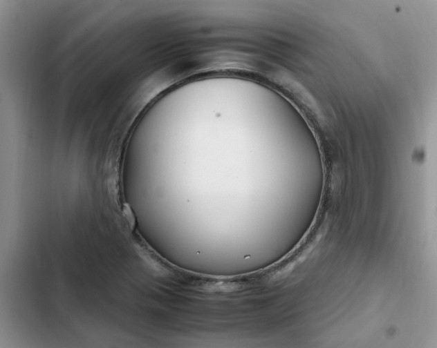 X0000102511321200808221808
