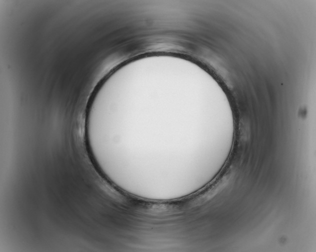 X0000102511322200808221808