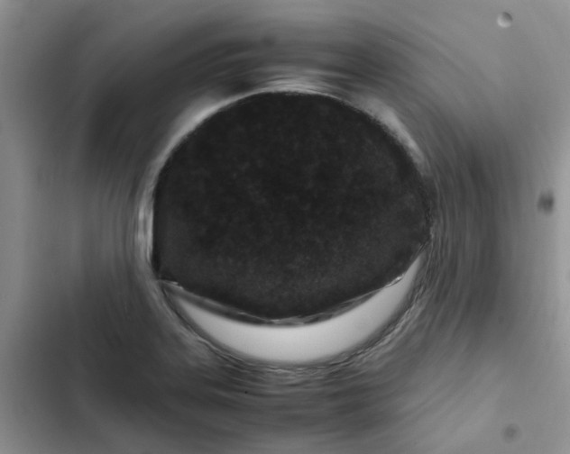 X0000102511323200808221808