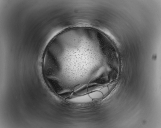 X0000102511325200808221808