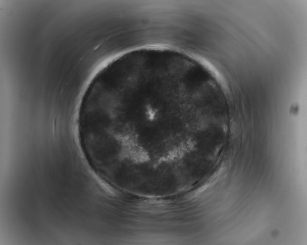 X0000102511327200808221808