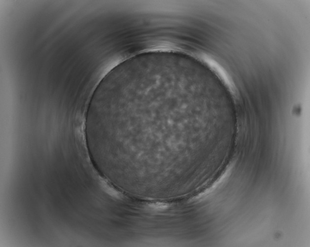 X0000102511329200808221808