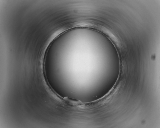X0000102511330200808221808