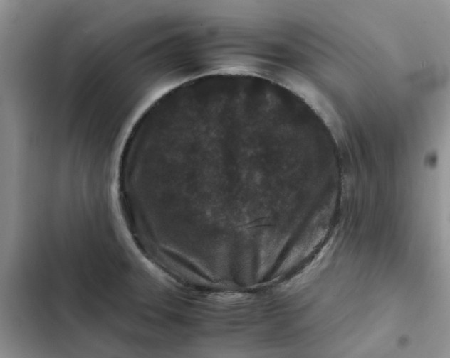 X0000102511331200808221808