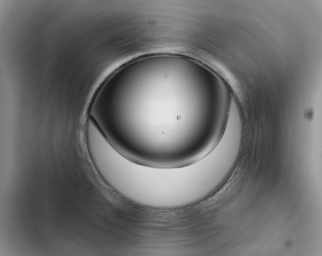 X0000102511332200808221808