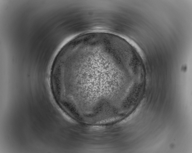X0000102511333200808221808