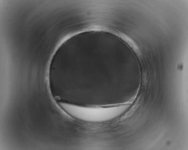 X0000102511334200808221808
