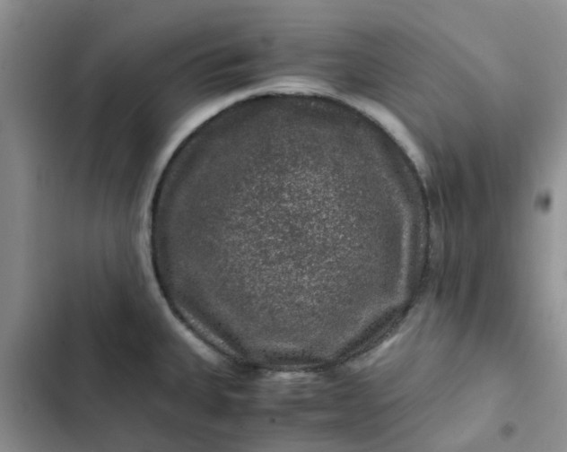 X0000102511335200808221809