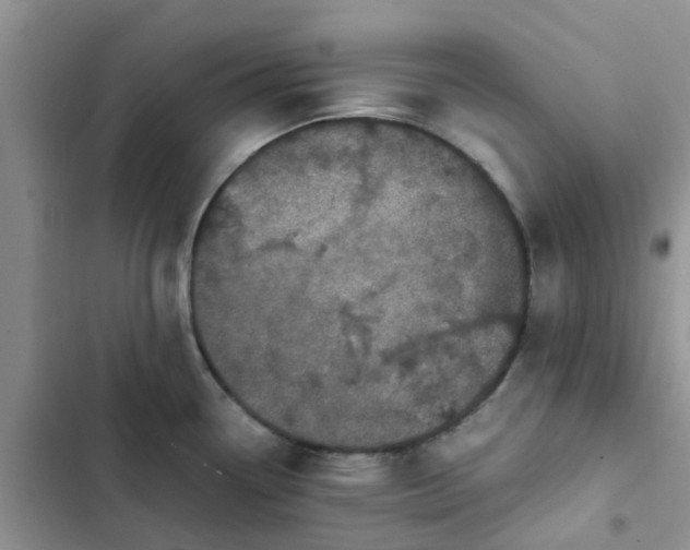 X0000102511338200808221809