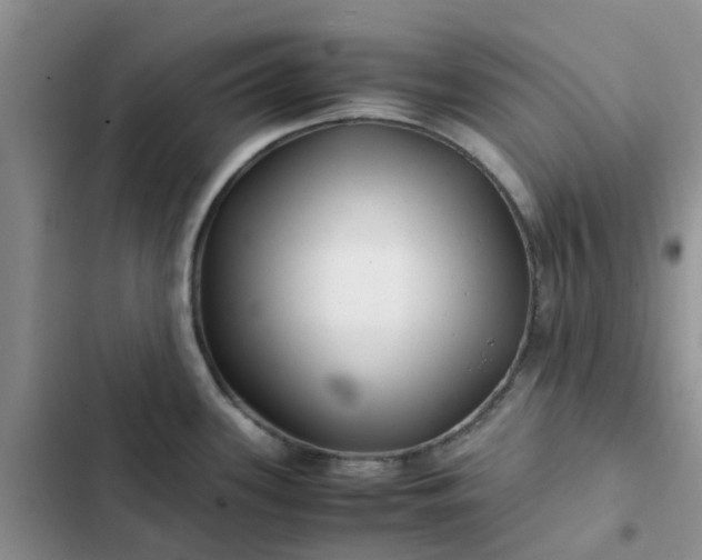 X0000102511339200808221809