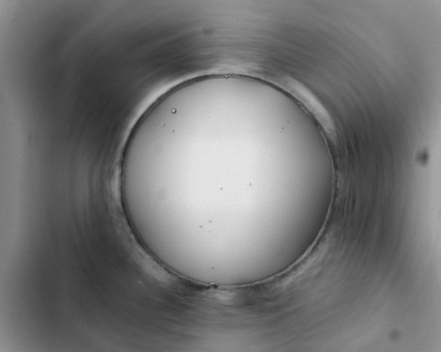 X0000102511340200808221809
