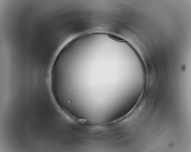 X0000102511341200808221809
