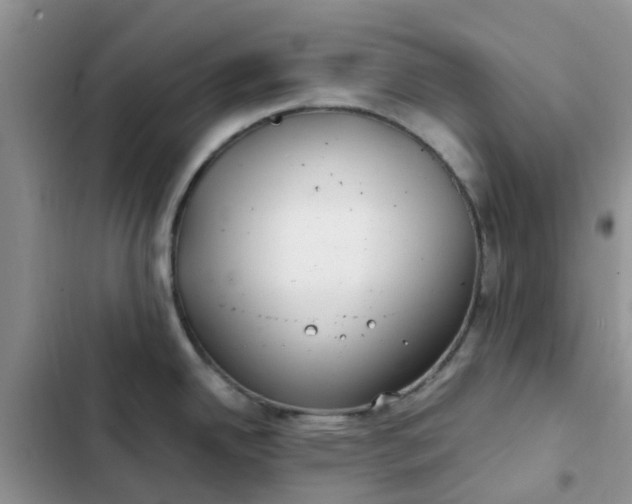 X0000102511342200808221809