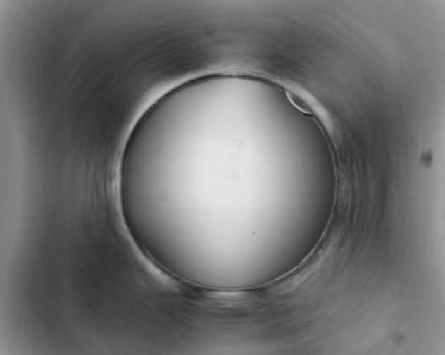 X0000102511343200808221809