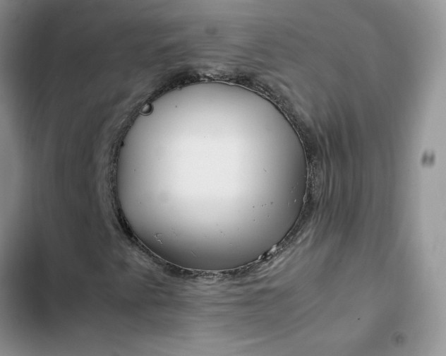X0000102511345200808221808