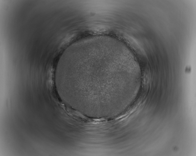 X0000102511346200808221808