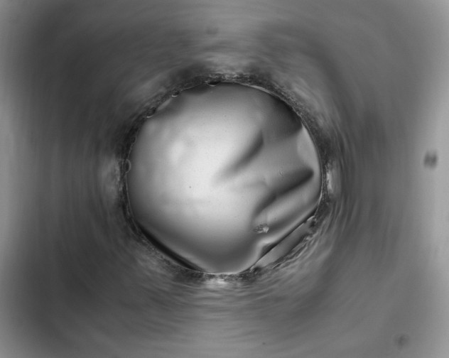 X0000102511347200808221808