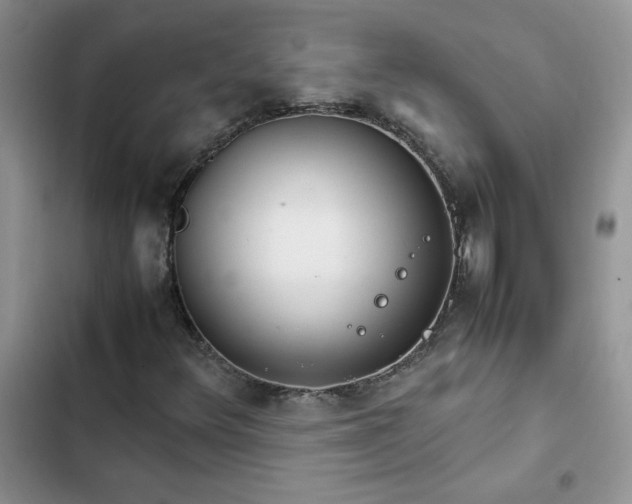 X0000102511348200808221808