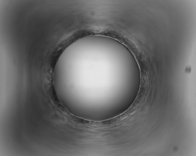 X0000102511349200808221808