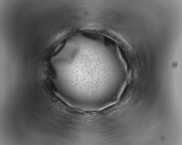 X0000102511350200808221808