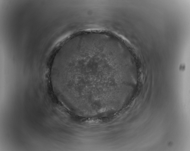X0000102511351200808221808