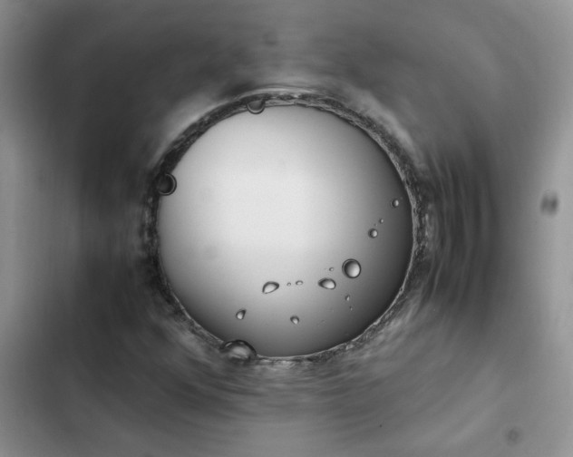 X0000102511352200808221808