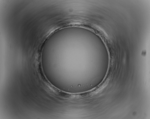 X0000102511353200808221808