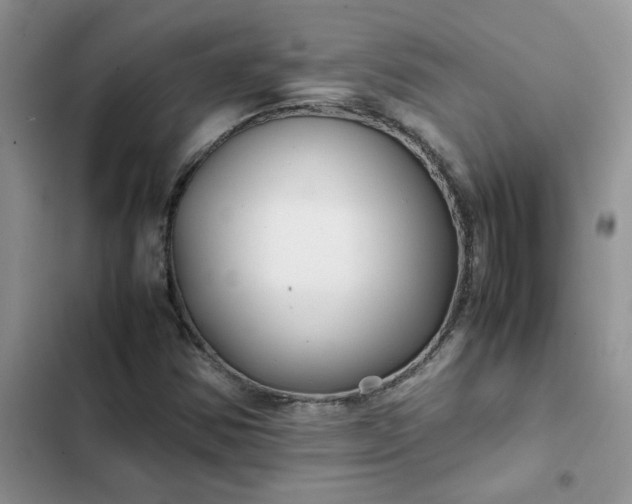 X0000102511354200808221808
