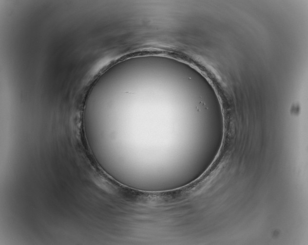X0000102511355200808221808