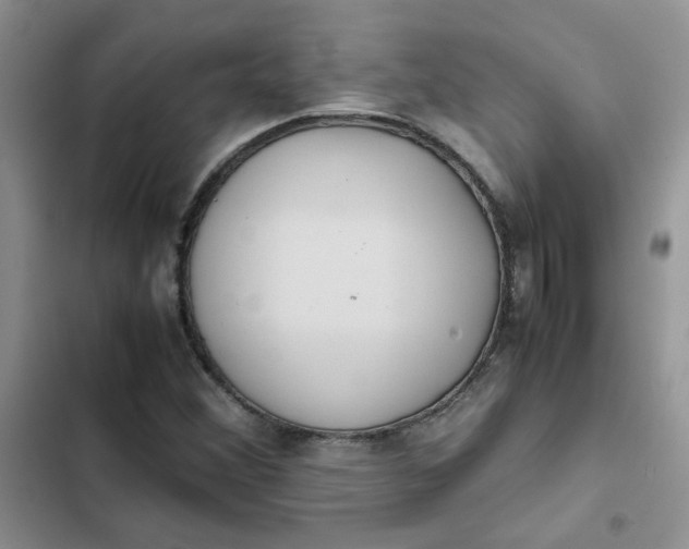 X0000102511356200808221808