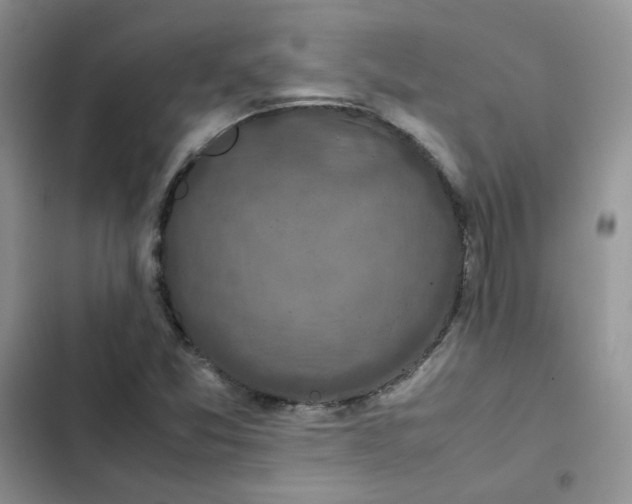X0000102511357200808221808