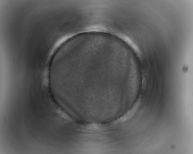 X0000102511358200808221808
