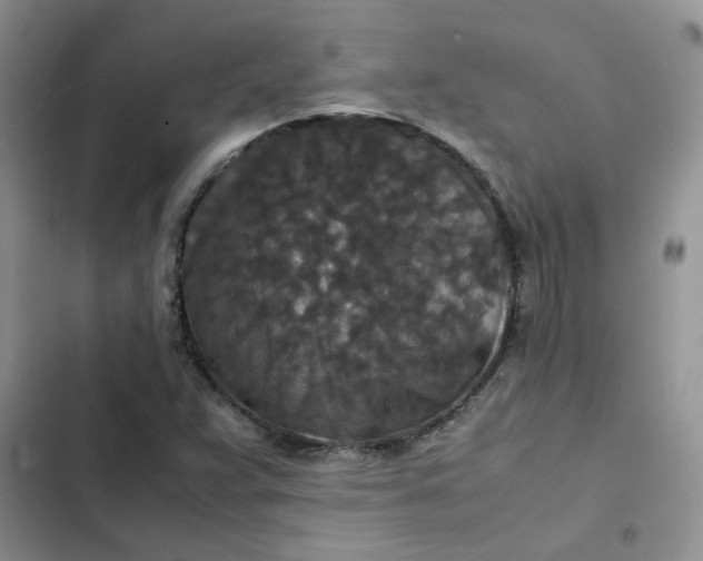 X0000102511359200808221808