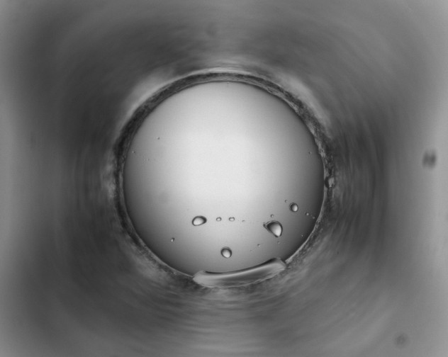 X0000102511360200808221808