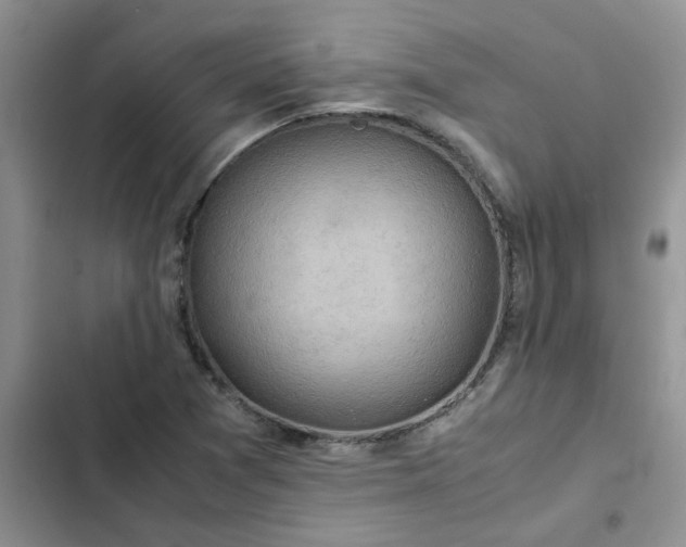 X0000102511361200808221808