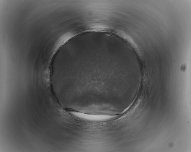 X0000102511362200808221808