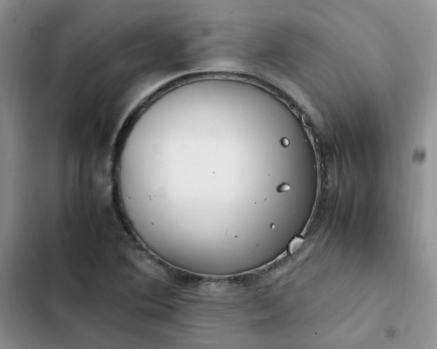 X0000102511364200808221808