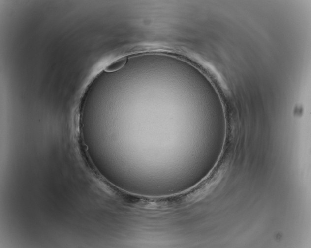 X0000102511365200808221808
