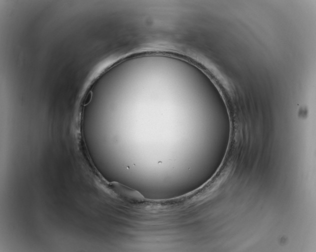 X0000102511366200808221808