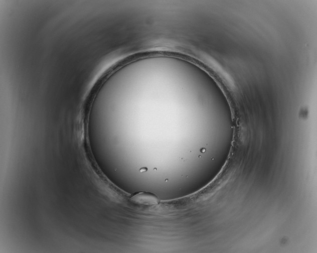X0000102511368200808221808