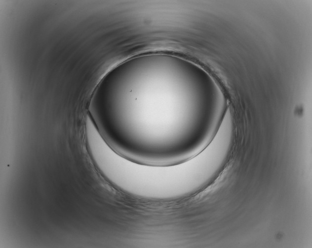 X0000102511369200808221808