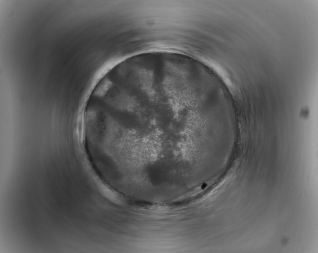 X0000102511371200808221808