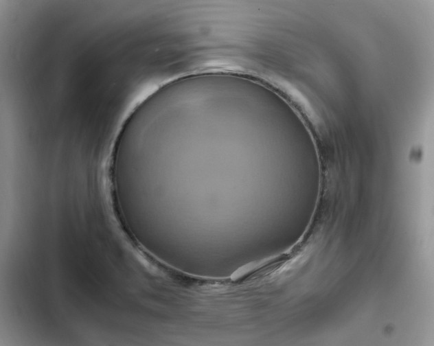 X0000102511373200808221808