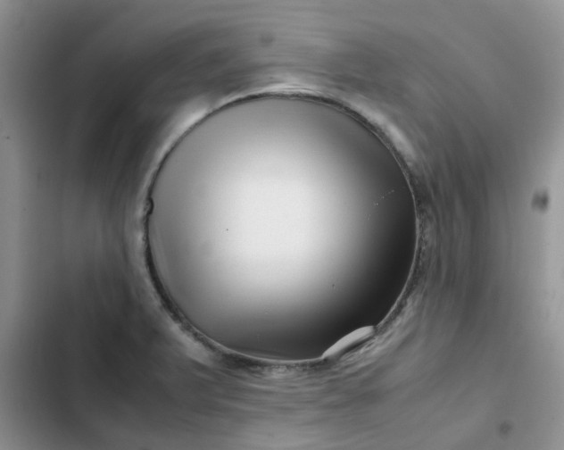 X0000102511375200808221808