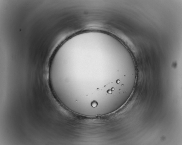 X0000102511376200808221808