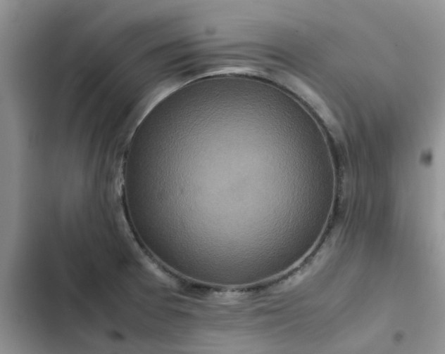 X0000102511377200808221808