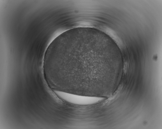 X0000102511378200808221808