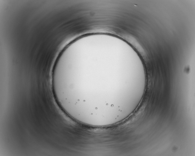 X0000102511380200808221807