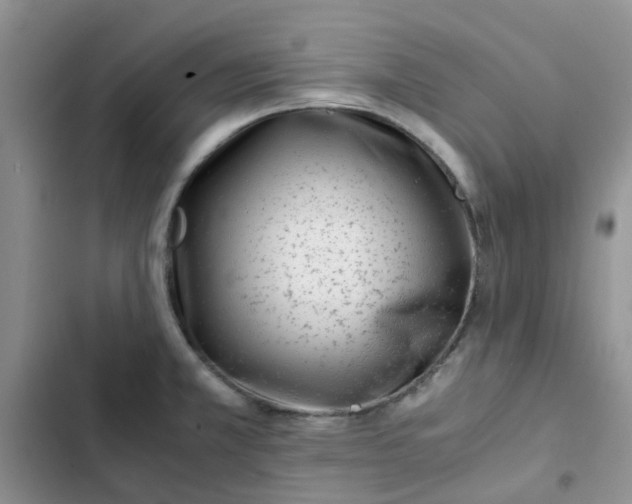 X0000102511381200808221807