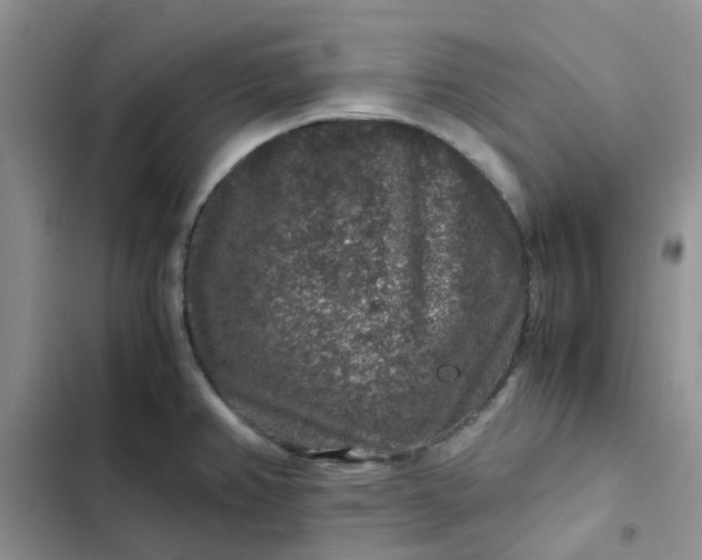 X0000102511382200808221807